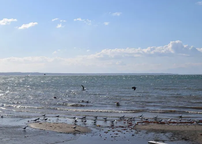Διαμέρισμα East Coast